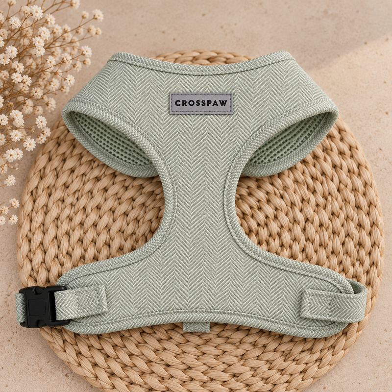 CrossPaw Harness