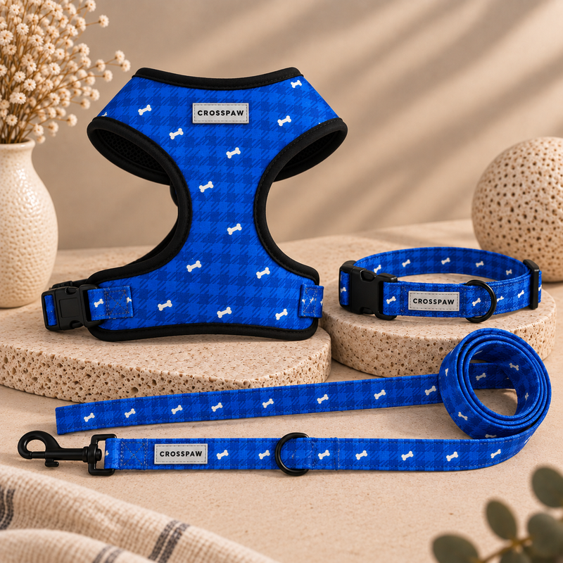 Newport Walk Set