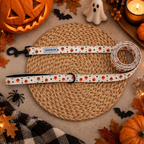 Pumpkin Patch Leash
