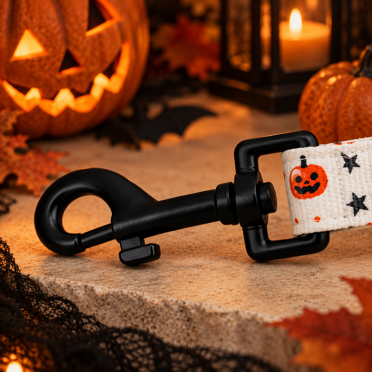 Pumpkin Patch Leash