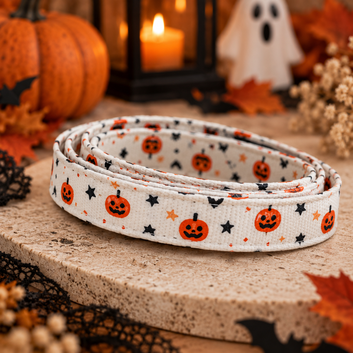 Pumpkin Patch Leash