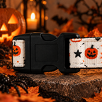 Pumpkin Patch Collar
