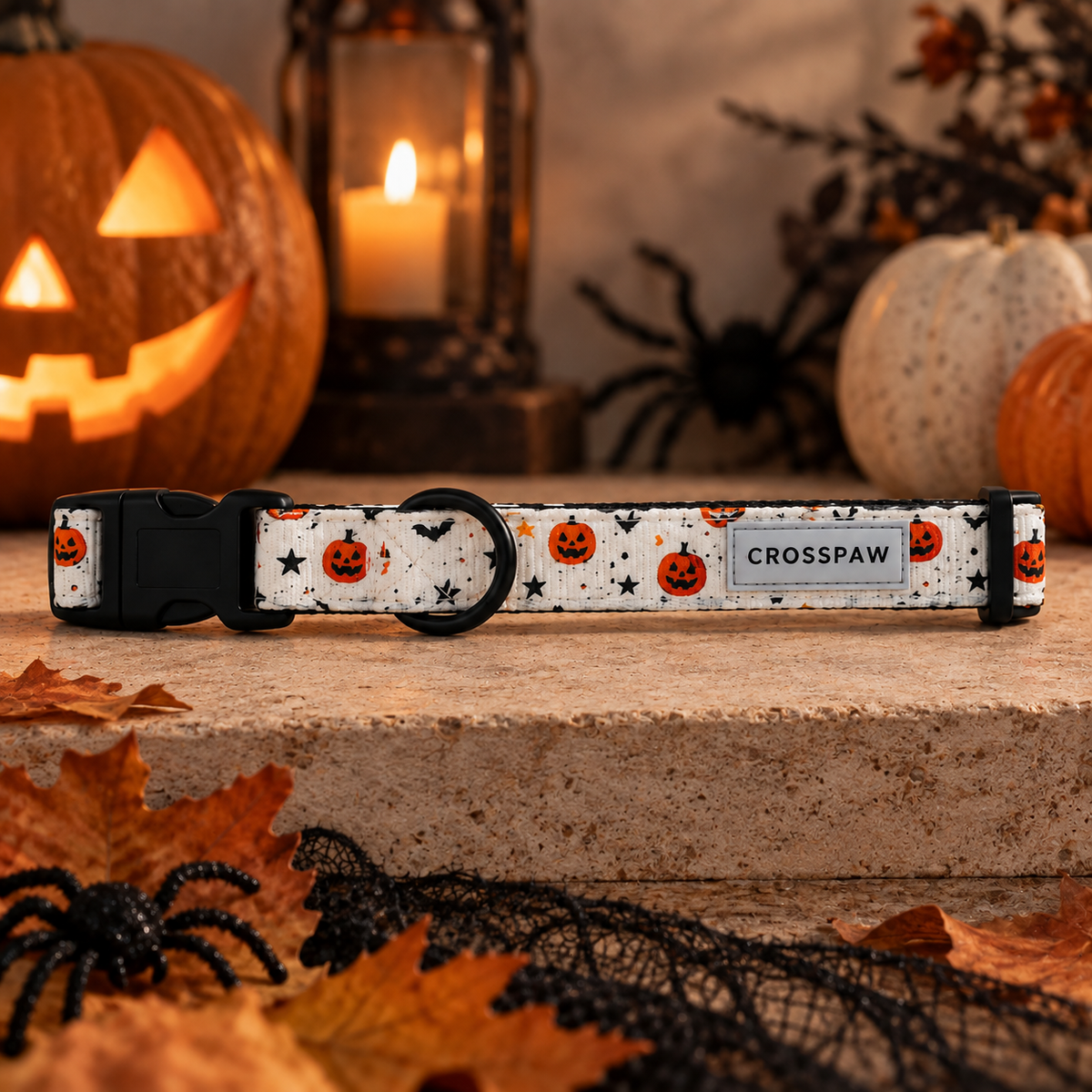 Pumpkin Patch Collar