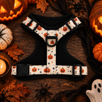 Adjustable Dog Harness - Pumpkin Patch