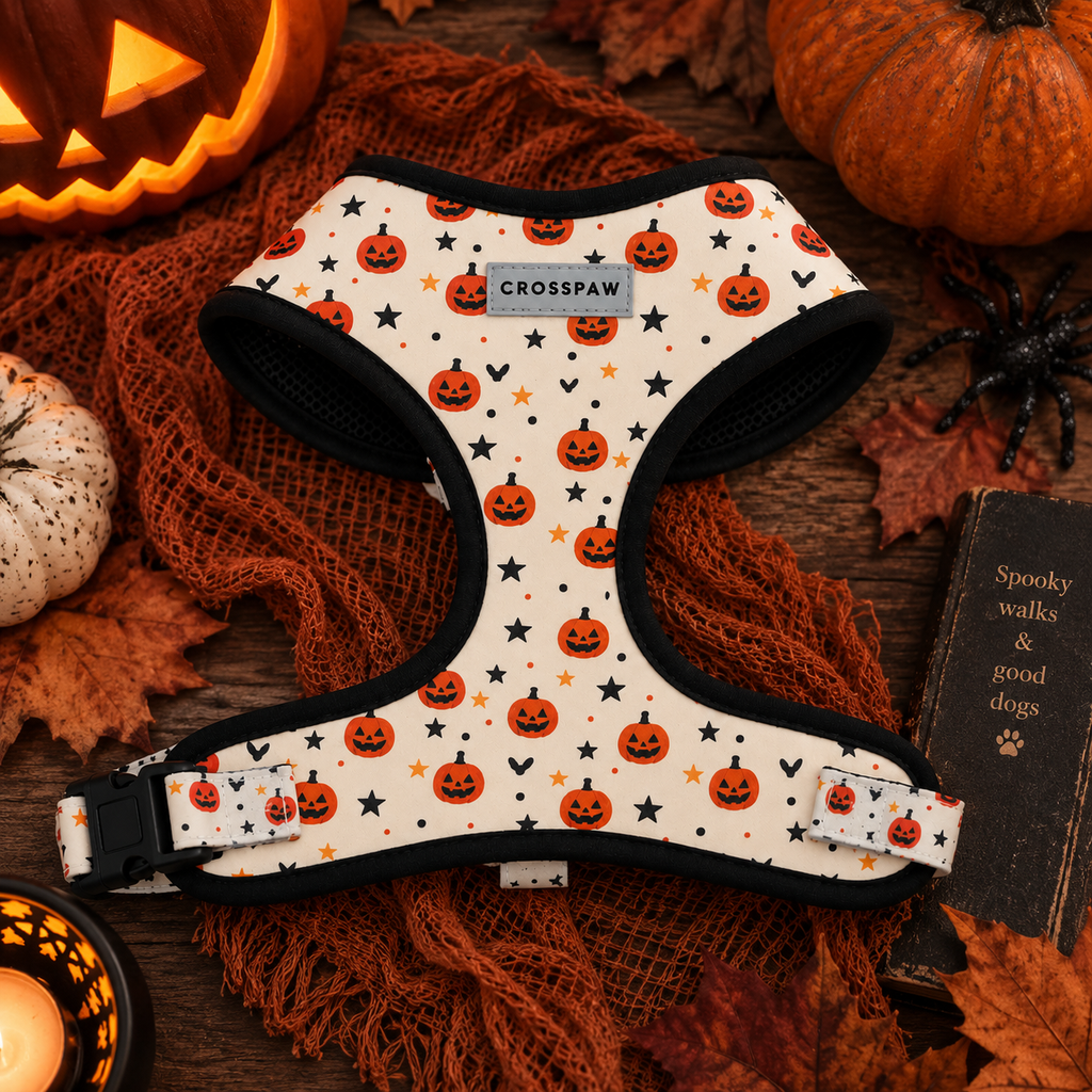 Adjustable Dog Harness - Pumpkin Patch