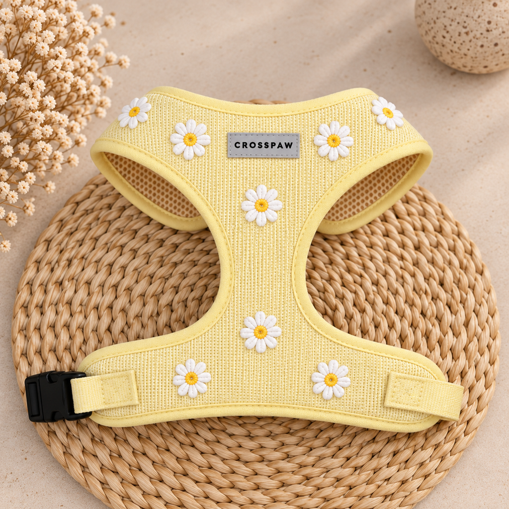 Adjustable Dog Harness - Daisy